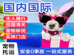 三亚凤凰机场货运国际宠物托运 【国